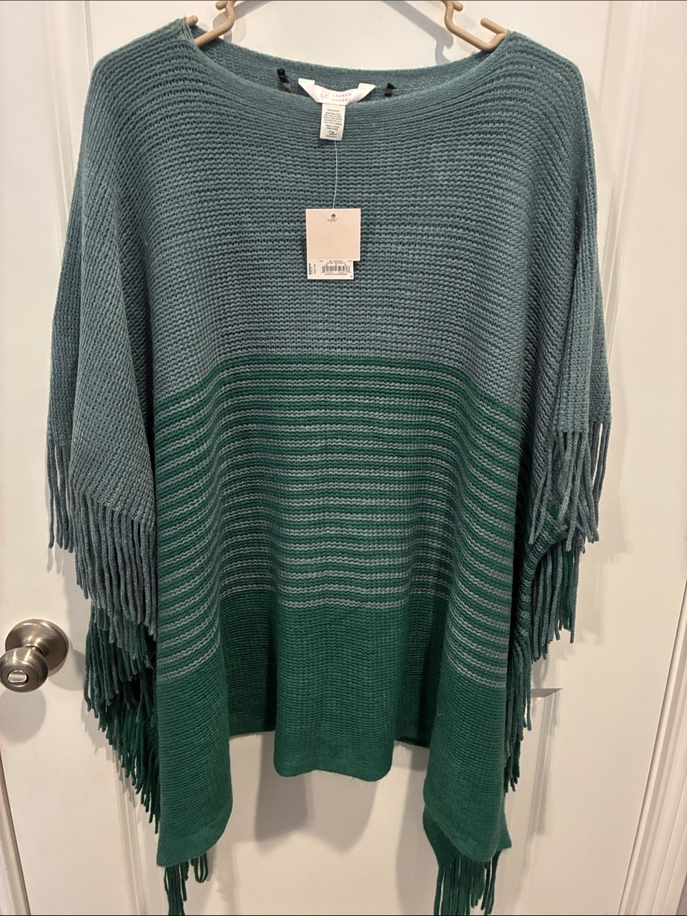 LC Lauren Conrad Teal and Green Fringe Knit Poncho